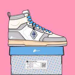 Signature Sneakers Highs #17