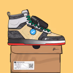 Signature Sneakers Highs #376