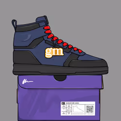Signature Sneakers Highs #679