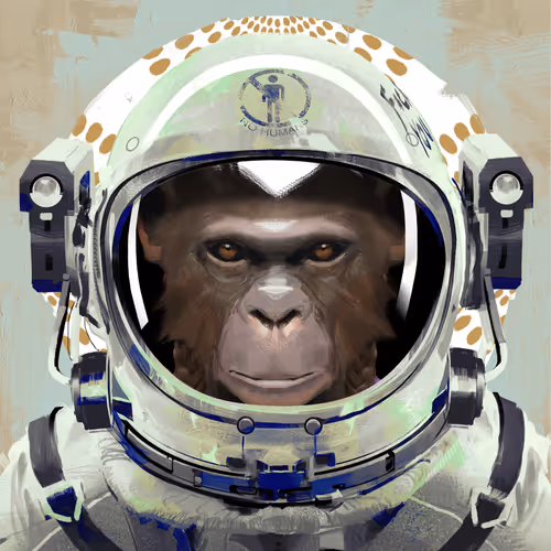 Angry Ape Army Valkyrie Collection