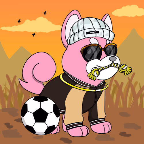 Phancy Pets