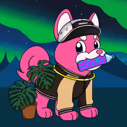 Phancy Pets #7439
