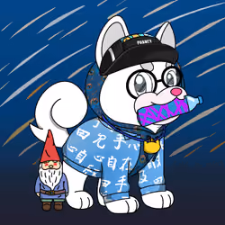 Phancy Pets #658