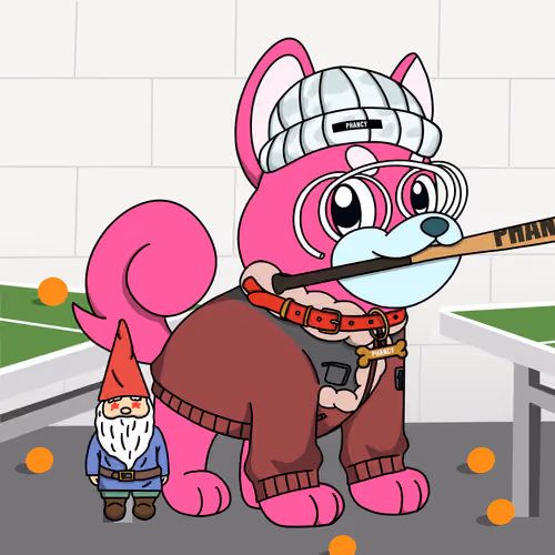 Phancy Pets #5196
