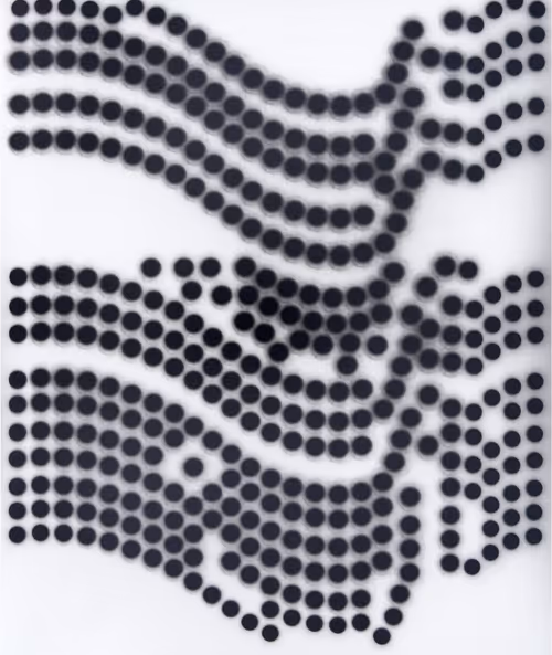 Item #911506639 Media