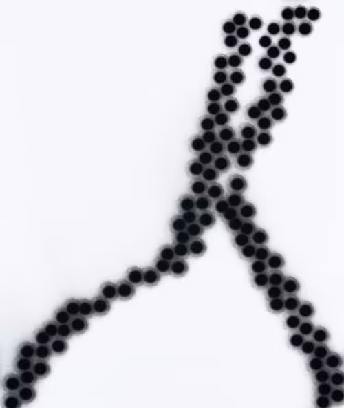 Item #3847513263 Media