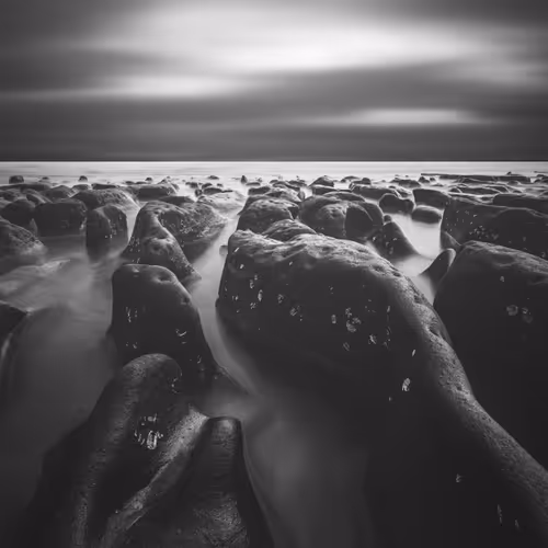My World In Bw