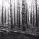 My World in BW