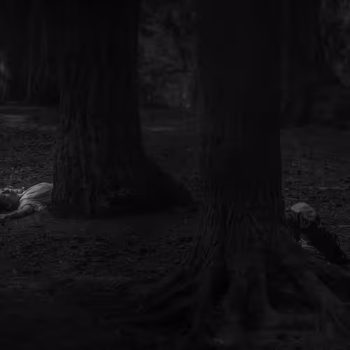 Hollowed Out A Chronicle Of Possession