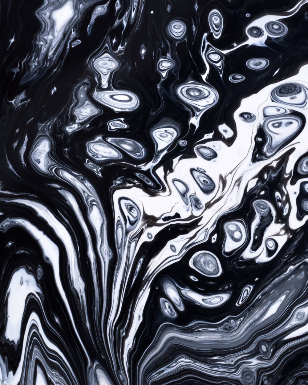 #4 Distorted Reality
