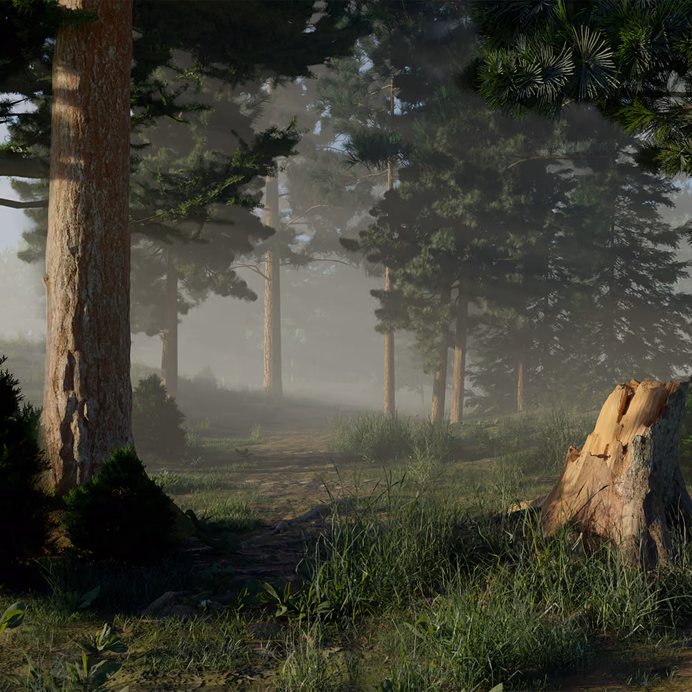 Forest
