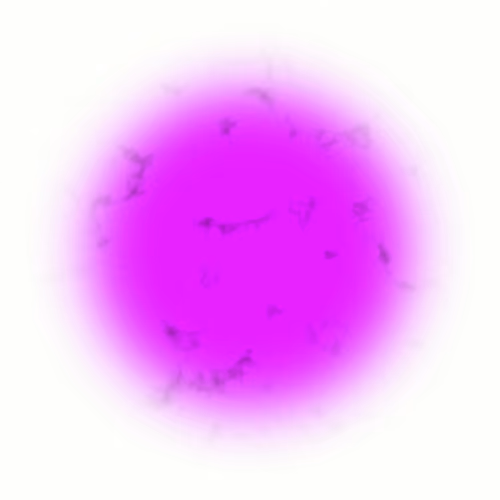 Infinite #3346
