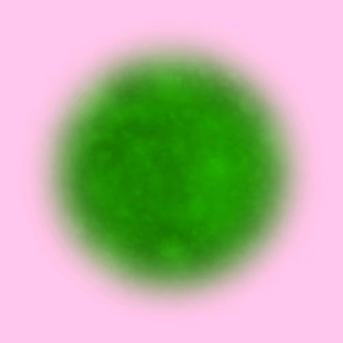 Infinite #3028