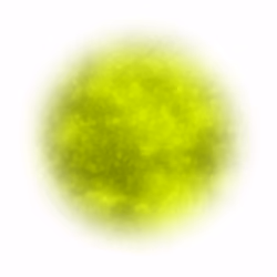 Infinite #3038