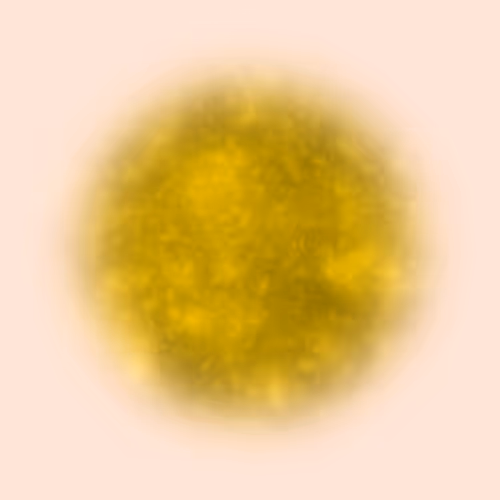 Infinite #2336