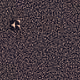 1431