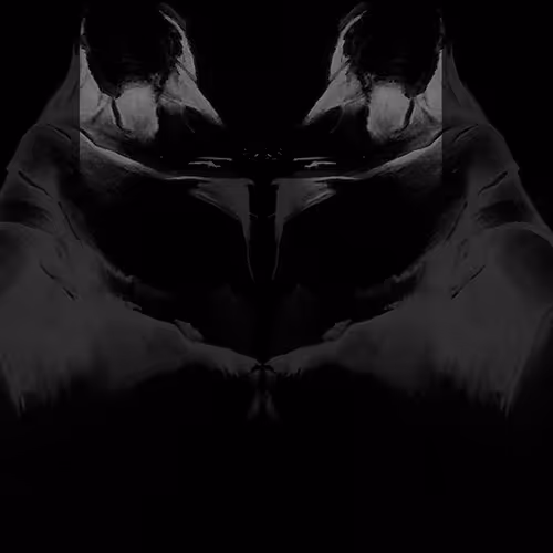 Drawings by a strange artist