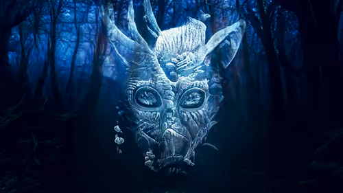 Item #51900030009 Media