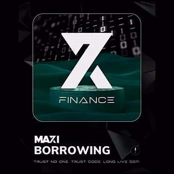 X7 Borrowing Maxi # 28