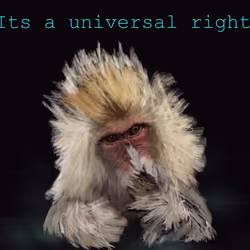 It's a Universal Right 2 #11/15
