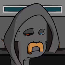 81