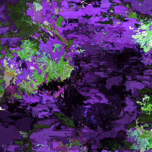 Rain Blooms By Kazuhiro Tanimoto