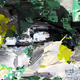 Rain Blooms #6
