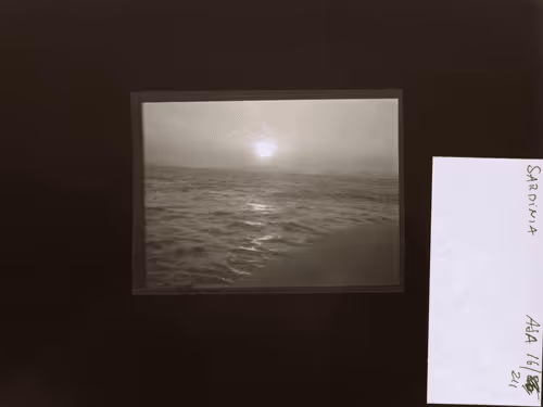 August Sander 10k Collection
