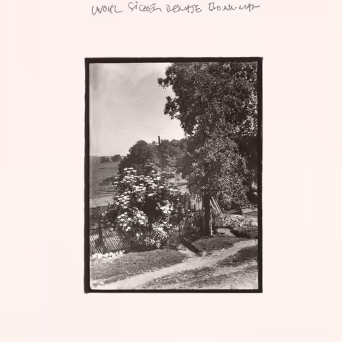 August Sander 10k Collection