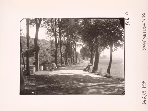 August Sander 10k Collection