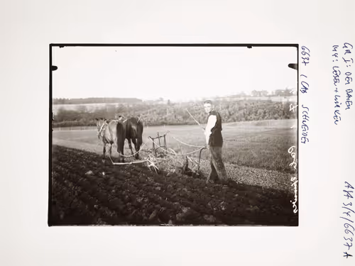 August Sander 10k Collection