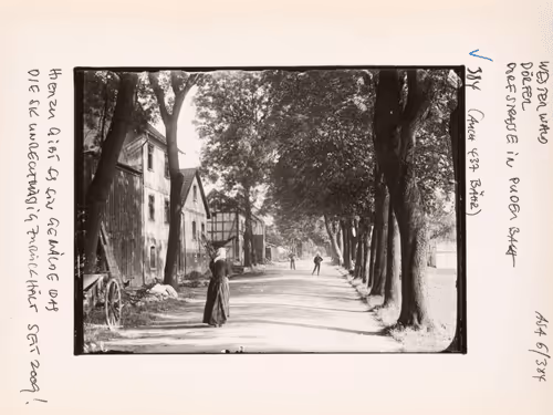 August Sander 10k Collection