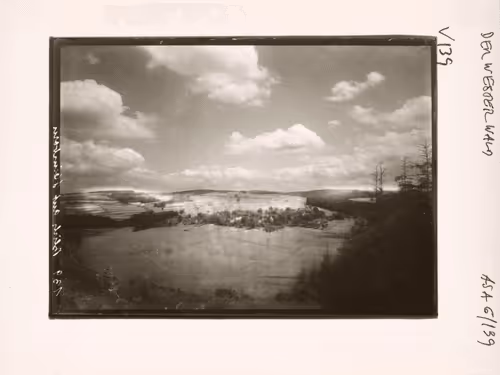 August Sander 10k Collection