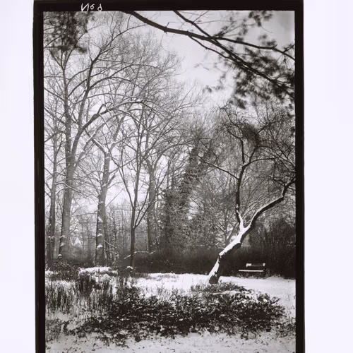 August Sander 10k Collection