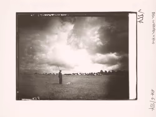 August Sander 10k Collection