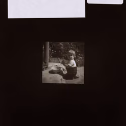 AS10k+ #8333 (ASA.20.569)