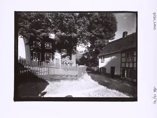 August Sander 10k Collection