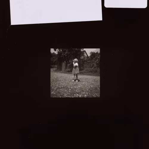 August Sander 10k Collection