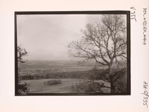 August Sander 10k Collection