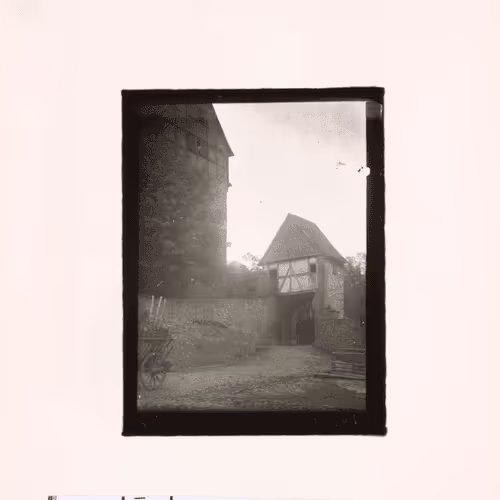 August Sander 10k Collection