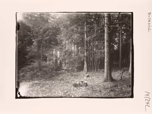August Sander 10k Collection