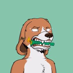 Okay Dog #6050