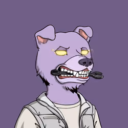 Okay Dog #6579