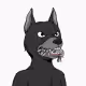 Okay Dog #3621