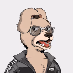 Okay Dog #8655