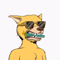 Okay Dog #6244