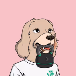 Okay Dog #7302