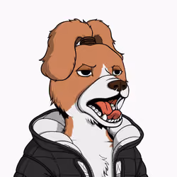 Okay Dog #7895