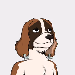 Okay Dog #9636