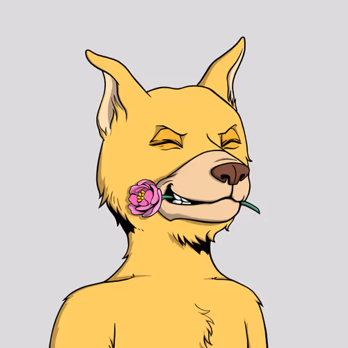 Okay Dogs 4